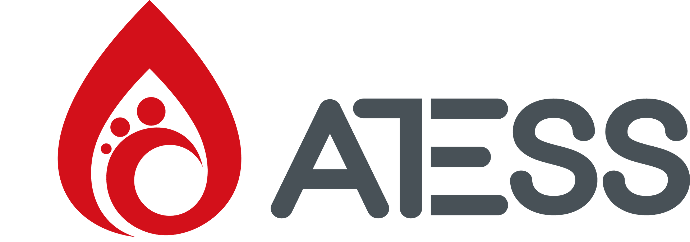 OEM partner